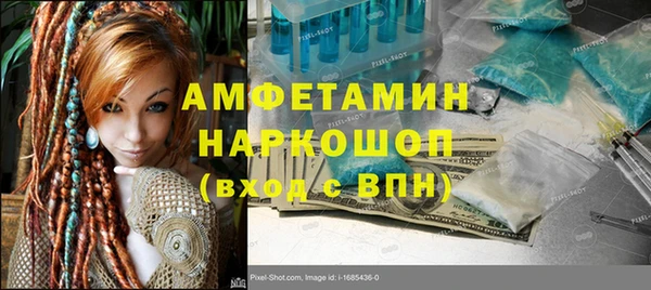 ешки Алексин