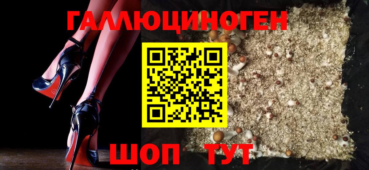 Псилоцибиновые грибы MAGIC MUSHROOMS  Галлюциногенные грибы Psilocybe  Звенигород  Вход с VPN 
