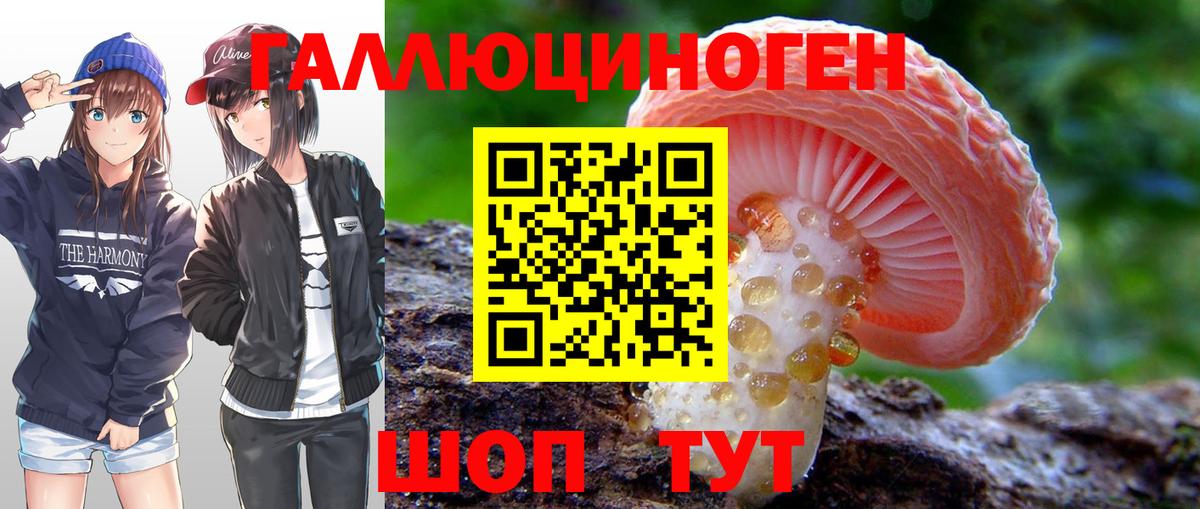 Галлюциногенные грибы мухоморы Звенигород